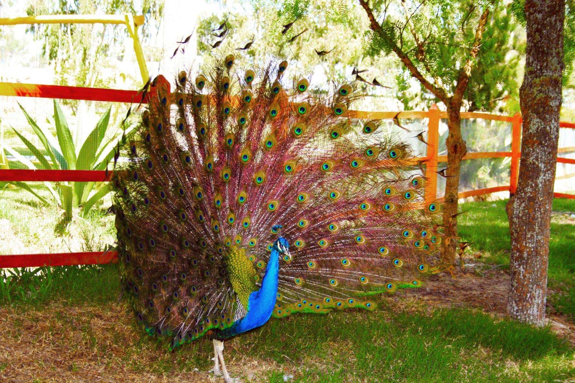 Hotel & Spa Laguna Seca Cajamarca Luaran gambar
